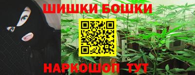 шишки Бийск