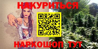 шишки Бийск