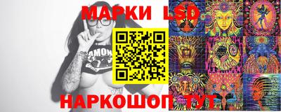 шишки Бийск