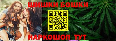 шишки Бийск
