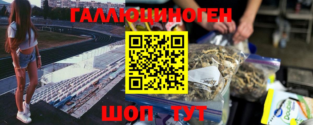 Галлюциногенные грибы Magic Shrooms  Вход с VPN  Псилоцибиновые грибы Cubensis  Благодарный 